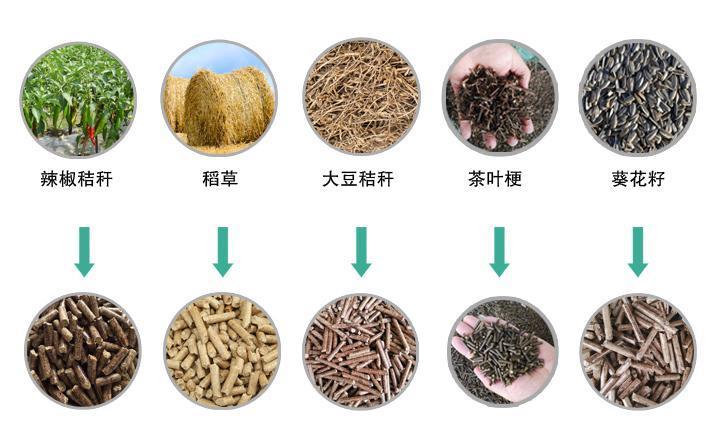 農(nóng)作物秸稈顆粒機(jī)秸稈飼料化利用